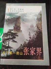 天下第一奇山张家界