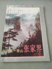天下第一奇山张家界