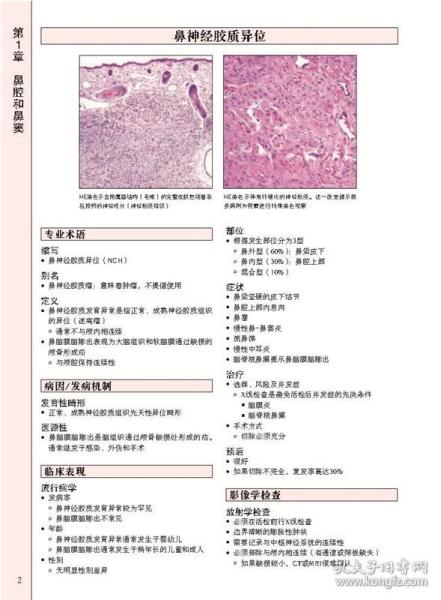 头颈诊断病理学