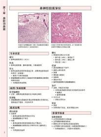 头颈诊断病理学