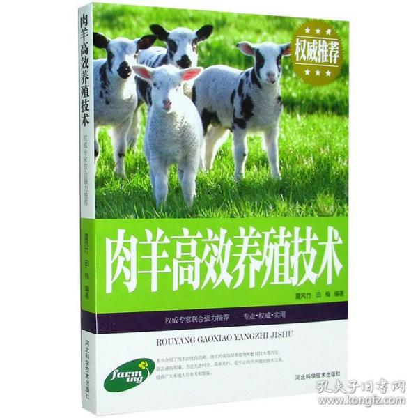 【原版闪电发货】肉羊高效养殖技术 肉羊养殖技术书籍 图文本 肉羊品种肉羊营养需要草料配制肉羊繁育技术常见病防治 家禽畜牧养殖一本全