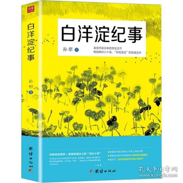 白洋淀纪事 名著阅读课程化丛书（统编语文教材配套阅读）七年级上