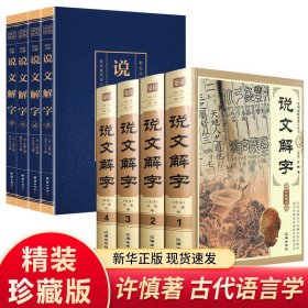 【原版闪电发货】说文解字话说汉字原版说文解字注段玉裁注中华国学书局图解今释译文白对照繁体注音图文版详解古文字典古代汉语常用字字典书籍