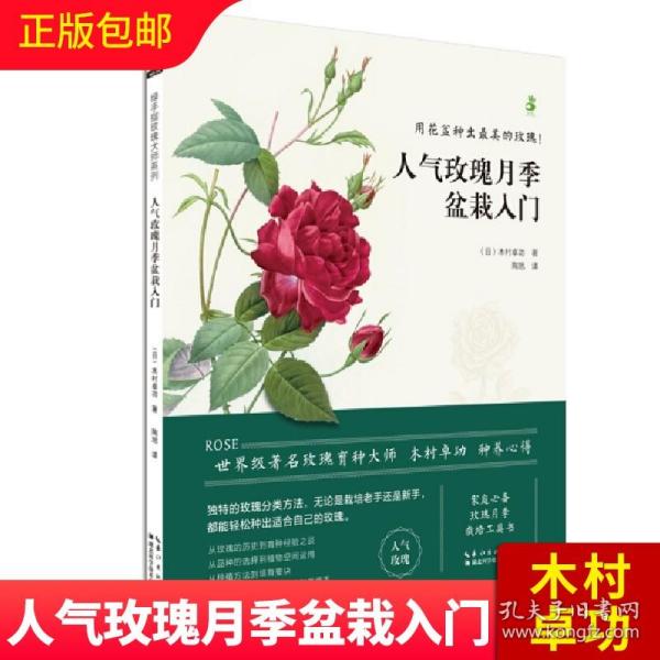 人气玫瑰月季盆栽入门