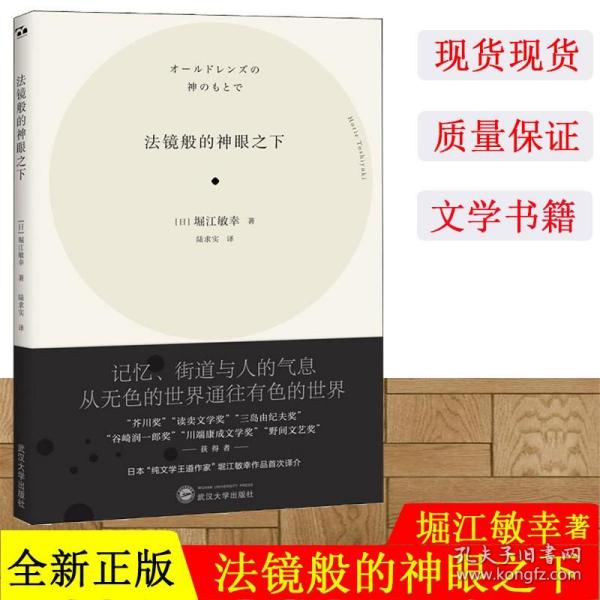 【原版闪电发货】法镜般的神眼之下 堀江敏幸 武汉大学出版社 文学小说作品集 日本纯文学王道作家堀江敏幸作品 短篇小说代表作