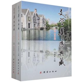 正版新书当天发货 文学华阳典藏（全2册）