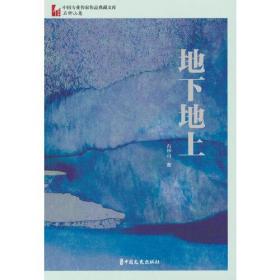 地下地上（中国专业作家作品典藏文库.石钟山卷）