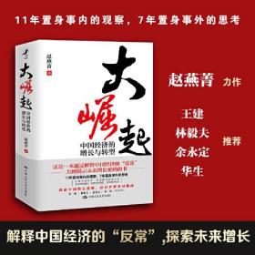 大崛起：中国经济的增长与转型（赵燕菁教授 新著，揭示城市空间战略与经济增长问题，王建、林毅夫、余永定、华生联袂推荐）