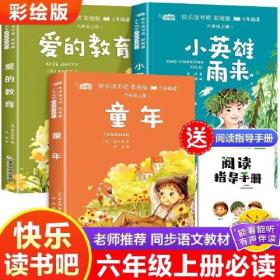 快乐读书吧 少年阅读 6年级上册 彩绘版(1-3)、