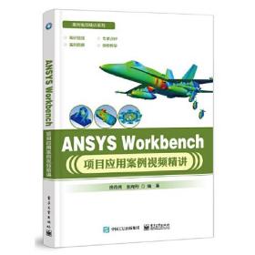 ANSYS Workbench 项目应用案例视频精讲