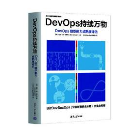 DevOps持续万物：DevOps 组织能力成熟度评估