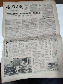 1986年8月15日   安徽日报  生日报   （4开4版）  合肥外语专科学校首届学生毕业