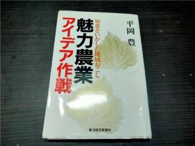 魅力农业アイデア作战 平罔丰 东洋经济新报社 1999年 约32开平装 原版日本日文