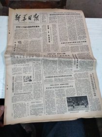 1982年4月24日   新华日报  生日报   （4开4版） 访丁玲同志