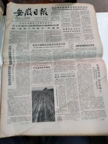 1984年6月9日   安徽日报  生日报   （4开4版）   记涡阳县标里区徐庙庄军属徐李氏