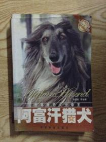 阿富汗猎犬