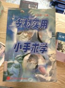 乡村实用小手术学---[ID:122358][%#206A6%#]