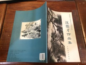 走进画家 中国当代名家精品系列 沈维才作品集,