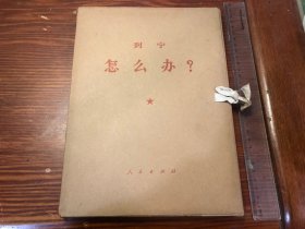 列宁 怎么办？（一函全四册 大字本）