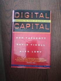 DIGITAL CAPITAL（英文原版。数字资本。16开。2000）