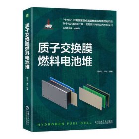 质子交换膜燃料电池堆（