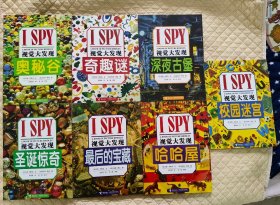 I SPY视觉大发现系列 第一辑中的6本（圣诞惊奇、最后的宝藏、哈哈屋、校园迷宫、深夜古堡、奥秘谷、奇趣谜）