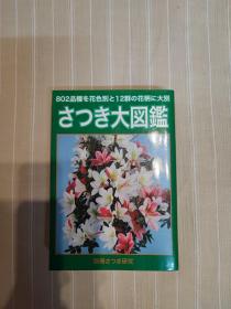 杜鹃大图鉴 さつき大图鉴(囊括802种杜鹃花品种， 杜鹃花研究者必读书，全书700多页，厚册，全铜版纸彩色图页，品好 ）