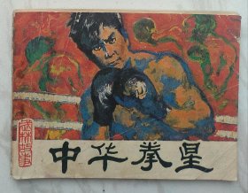 中华拳星：武林故事丛书