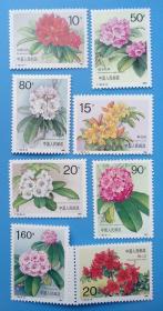 T162　杜鹃花特种邮票 (两枚带边纸）