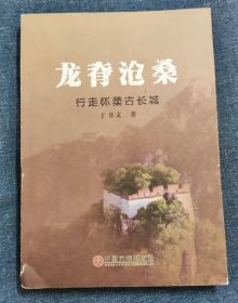 龙脊沧桑--行走怀柔古长城-下书脊破损-其它好-8品-书D