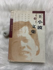 王小波文集 第3卷