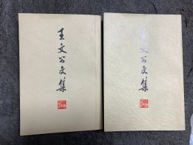 王文公文集（上下全2册）