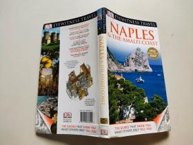 dk naples the amalfi coast