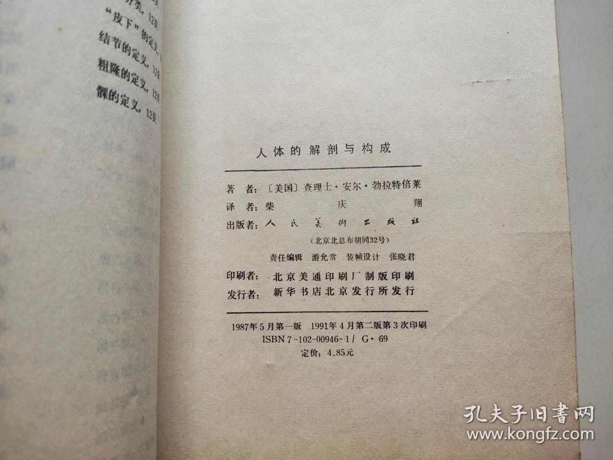 人体的解剖与构成