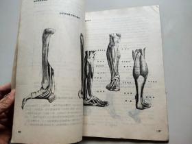 人体的解剖与构成