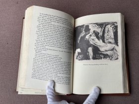 Madame Bovary / 包法利夫人（英语 精装 毛边本）