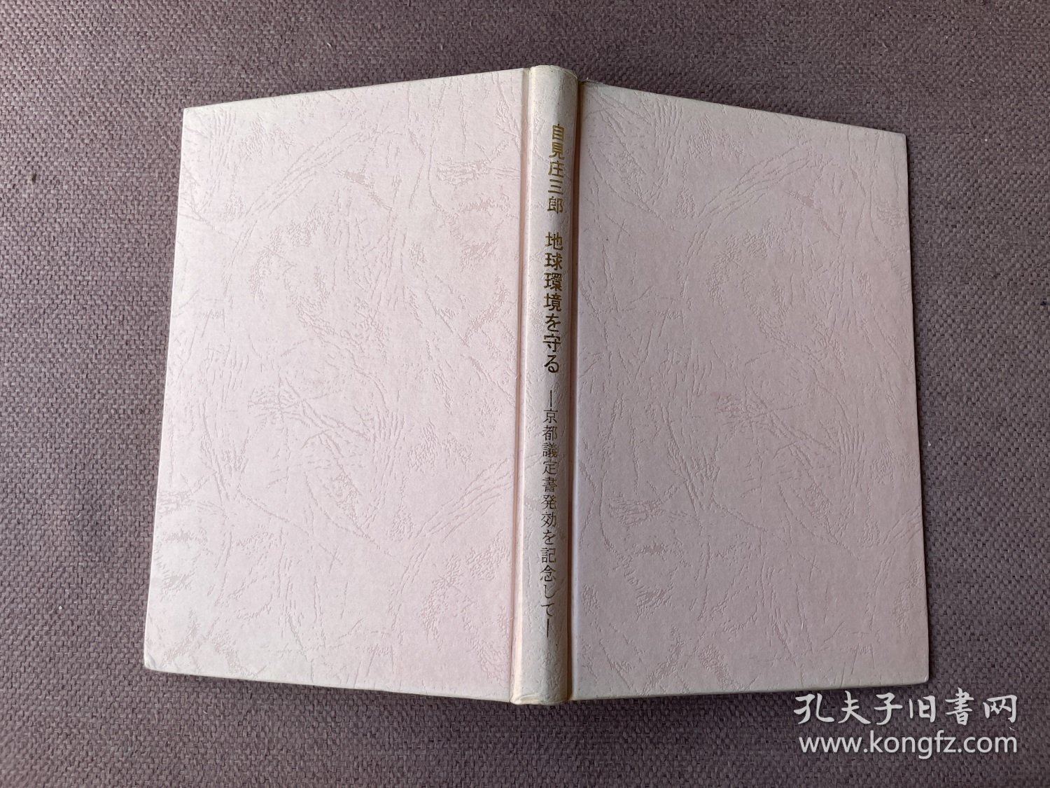 地球环境を守る—京都议定书発効を记念して（日文原版 精装）