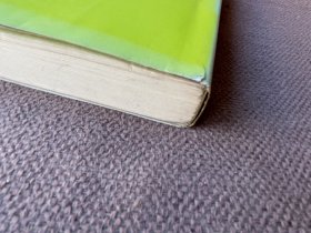 レイモンド・カーヴァー傑作選（日文原版）