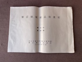 横店镇城镇总体规划（A3）