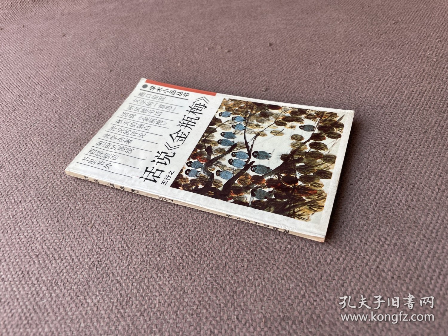 话说《金瓶梅》