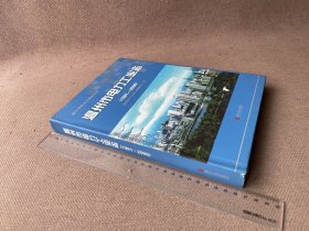 温州市电力工业志（1991-2006）（精装）
