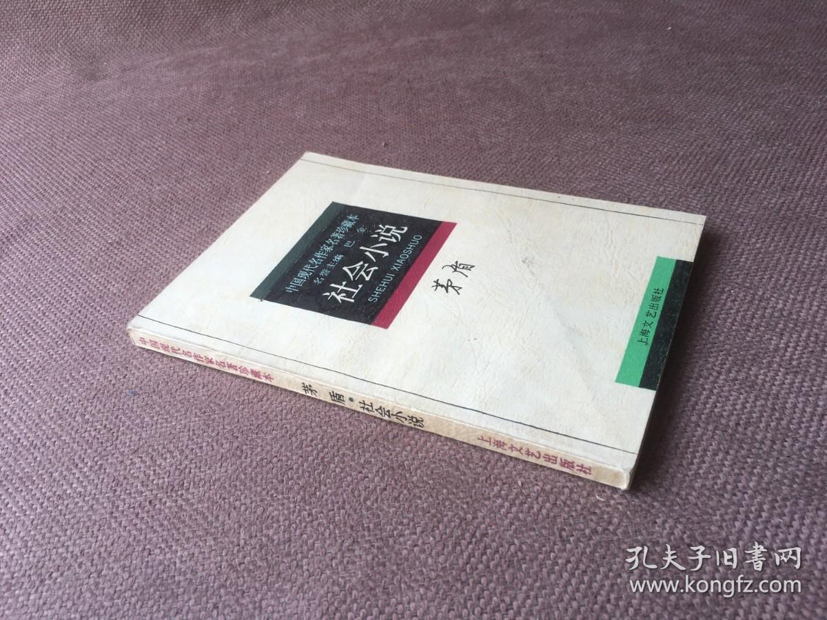 中国现代名作家名著珍藏本：茅盾 社会小说
