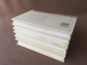 21世纪年度最佳外国小说：无望的逃离、饭店世界、凯恩河、要短句，亲爱的、雷曼先生、天空的皮肤（2001年度6册合售 精装）