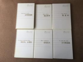 21世纪年度最佳外国小说：无望的逃离、饭店世界、凯恩河、要短句，亲爱的、雷曼先生、天空的皮肤（2001年度6册合售 精装）
