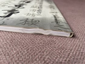 中国美术学院书法专业体系丛书之:演绎兰亭——王业书法作品集
