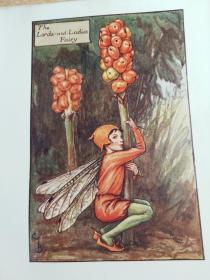 FLOWER FAIRIES OF THE AUTUMN  儿童读物  含精美彩图   POEMS AND PICTURES BY CICELY MARY BARKER