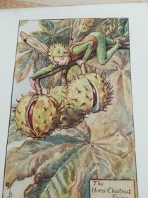 FLOWER FAIRIES OF THE AUTUMN  儿童读物  含精美彩图   POEMS AND PICTURES BY CICELY MARY BARKER