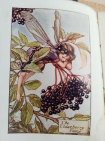 FLOWER FAIRIES OF THE AUTUMN  儿童读物  含精美彩图   POEMS AND PICTURES BY CICELY MARY BARKER