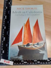 ADRIFT IN CALEDONIA    漂流   BOAT-HITCHING FOR THE UNENLIGHTENED  插图本