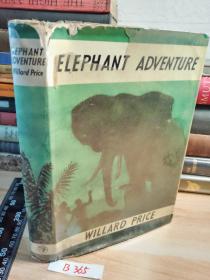 ELEPHANT ADVENTURE   插图本   精装带书衣